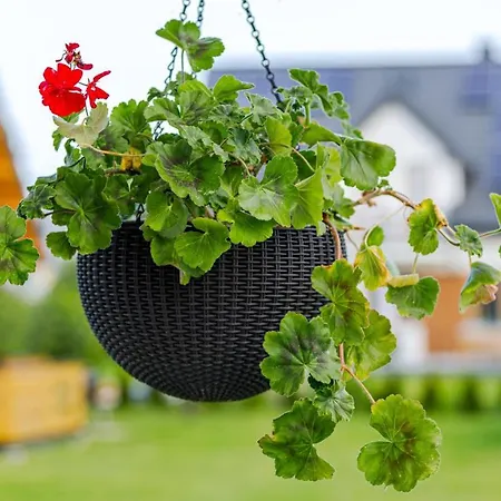 Lebskie Chatki Деревянный коттедж Леба