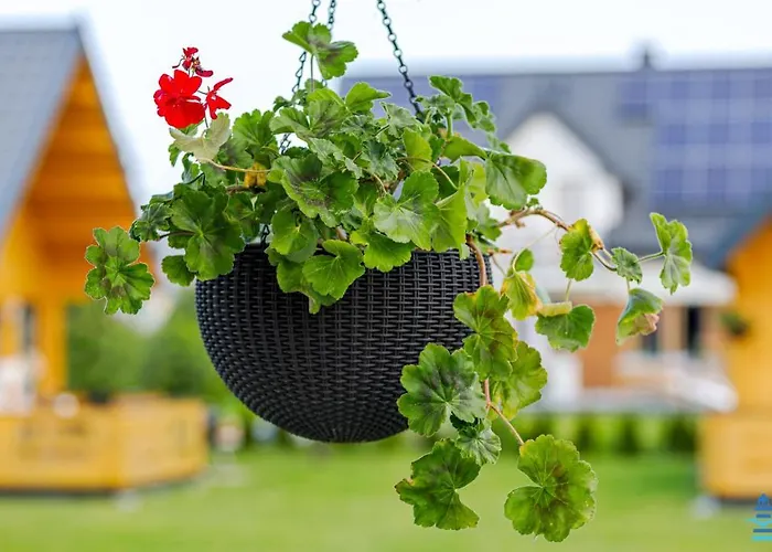 Lebskie Chatki Lodge Łeba